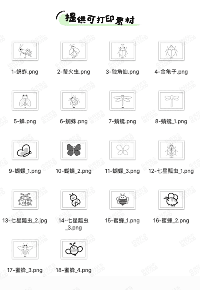昆虫简笔画详情页_02.png