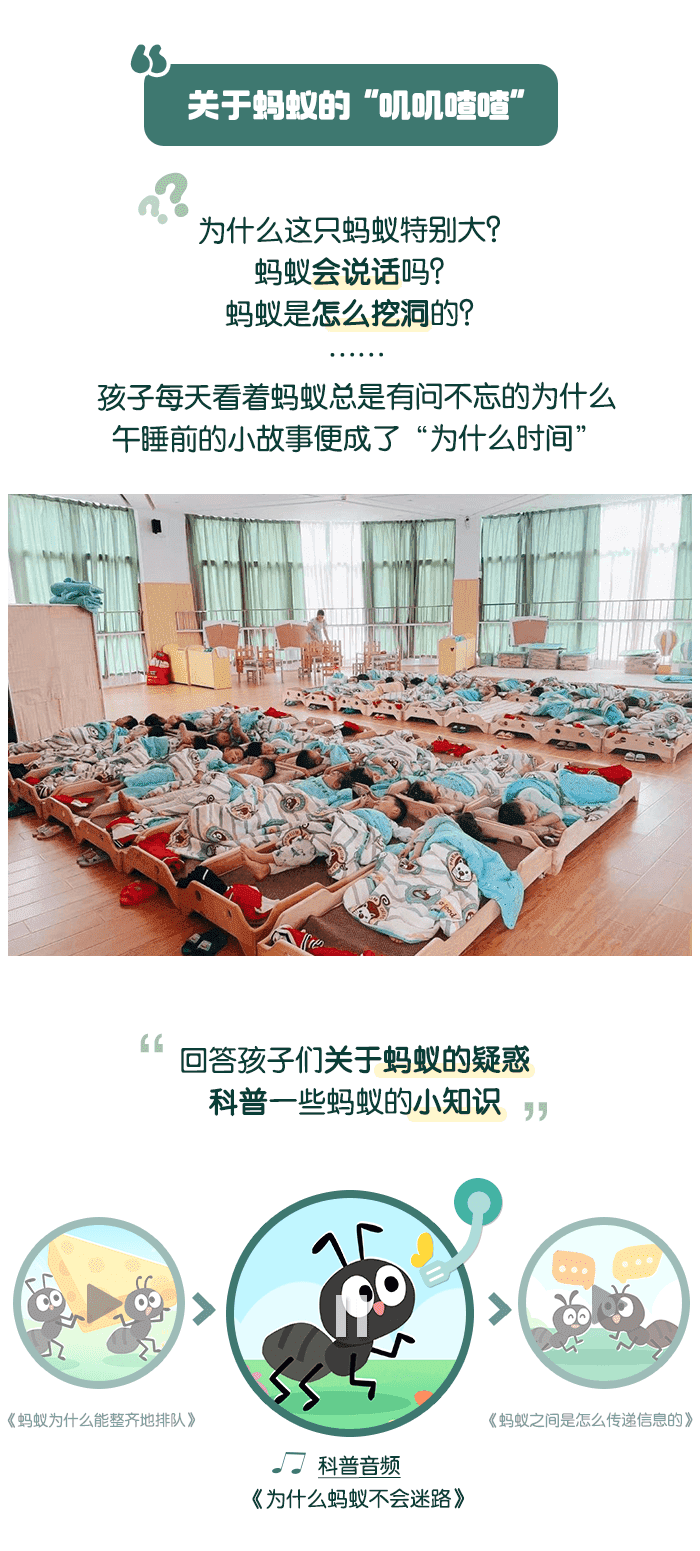 蚂蚁长图_08.png