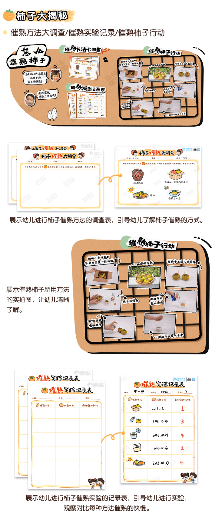 好“柿”一箩筐_详情页4.png