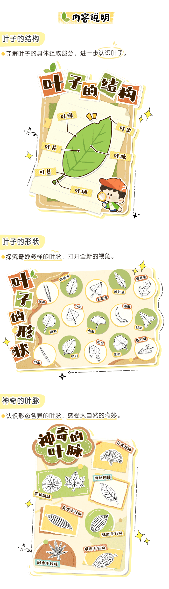 叶子知识图详情页2.png