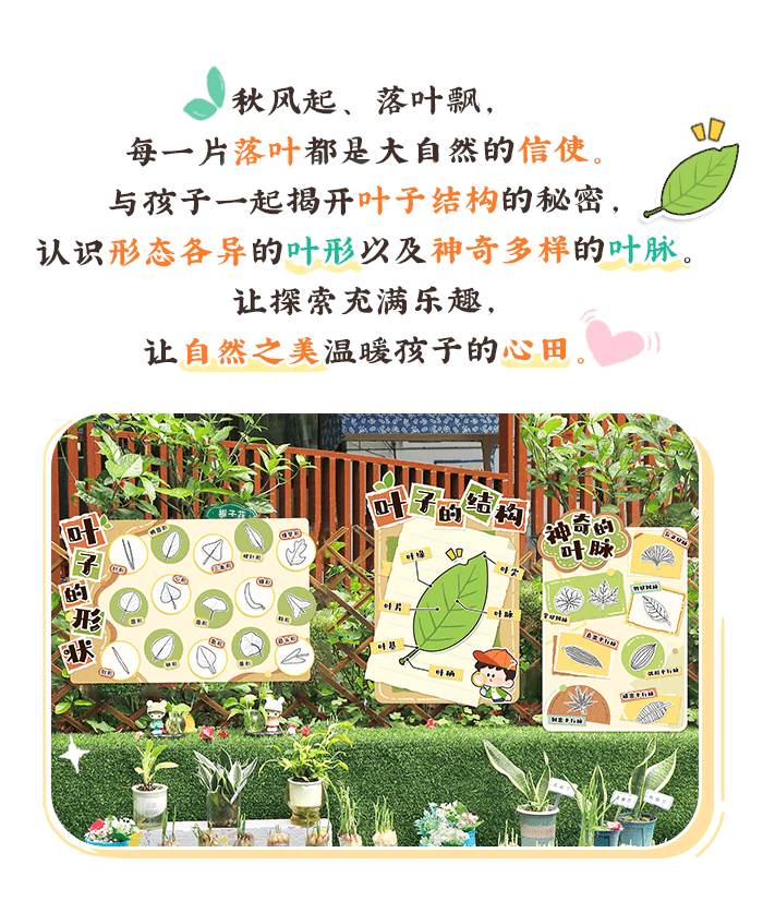 叶子知识图详情页1.png