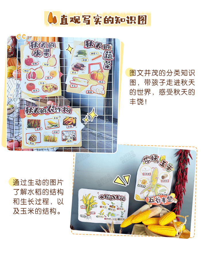 秋天自然角环创_详情页_04.png