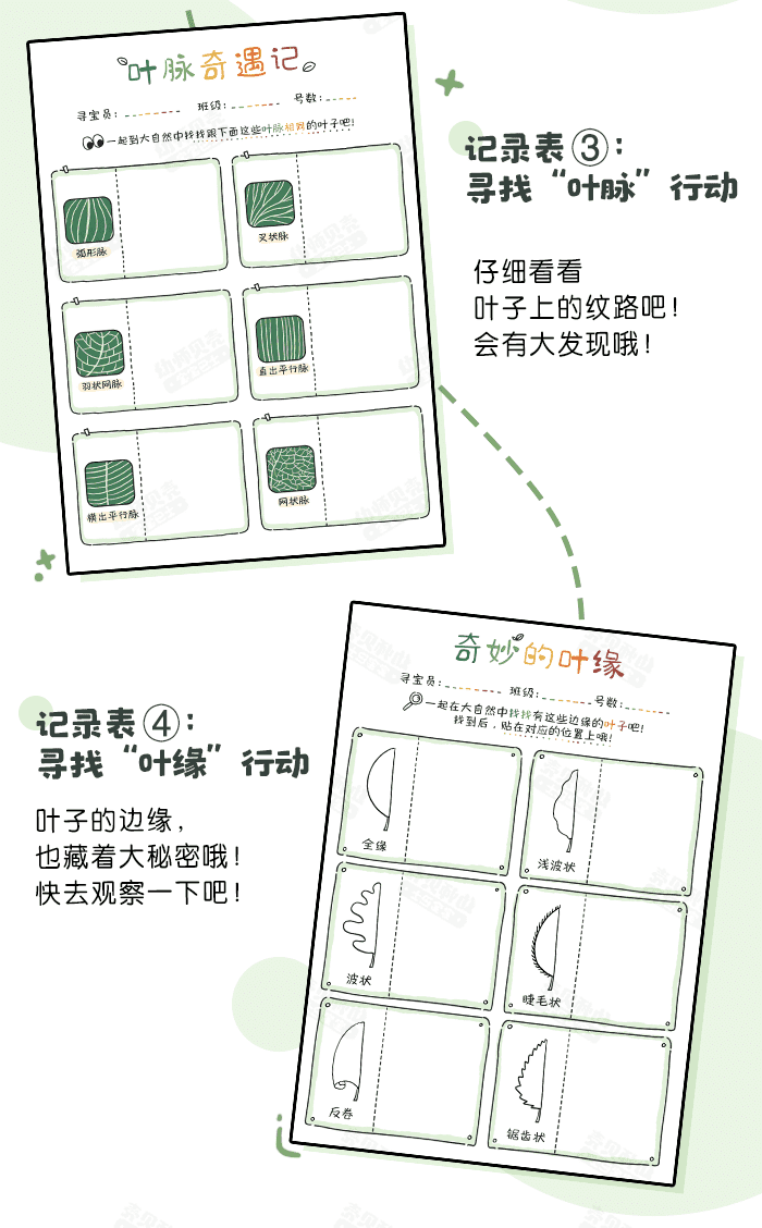 寻找叶子行动_详情页_03.png