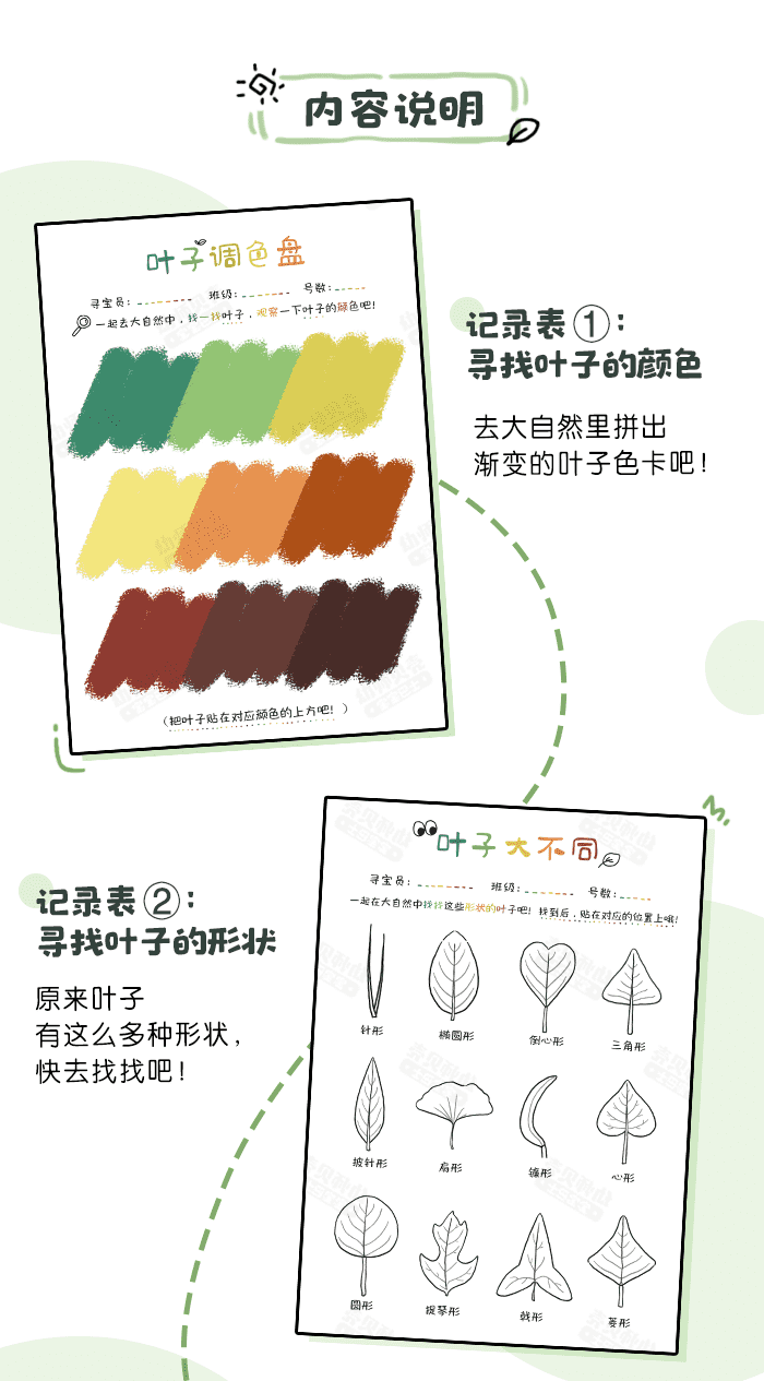 寻找叶子行动_详情页_02.png