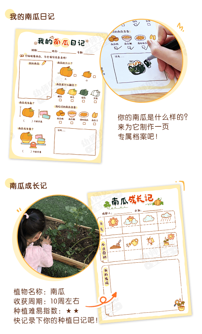 你好，南瓜_详情页_02.png
