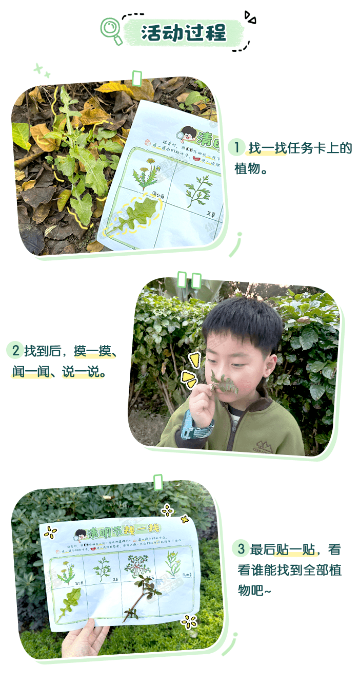 清明节踏青啦_详情页_02.png
