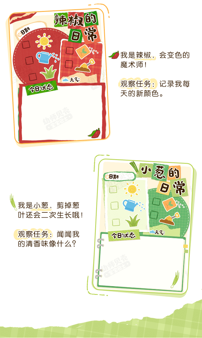 蔬菜的日常_详情页4.png