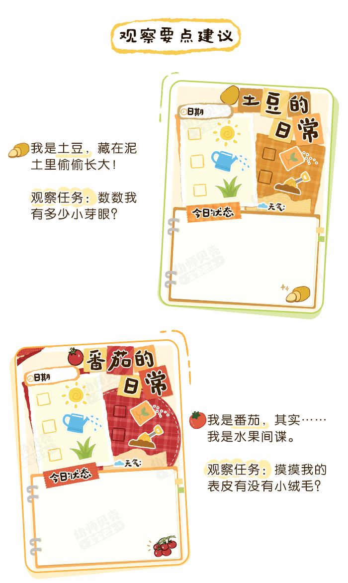 蔬菜的日常_详情页2.png