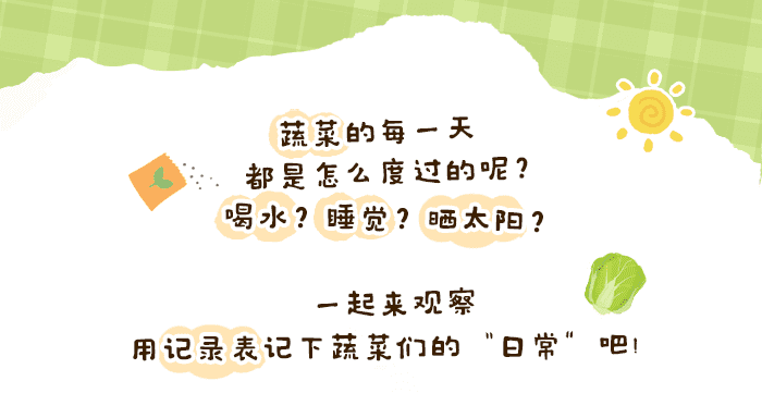蔬菜的日常_详情页1.png