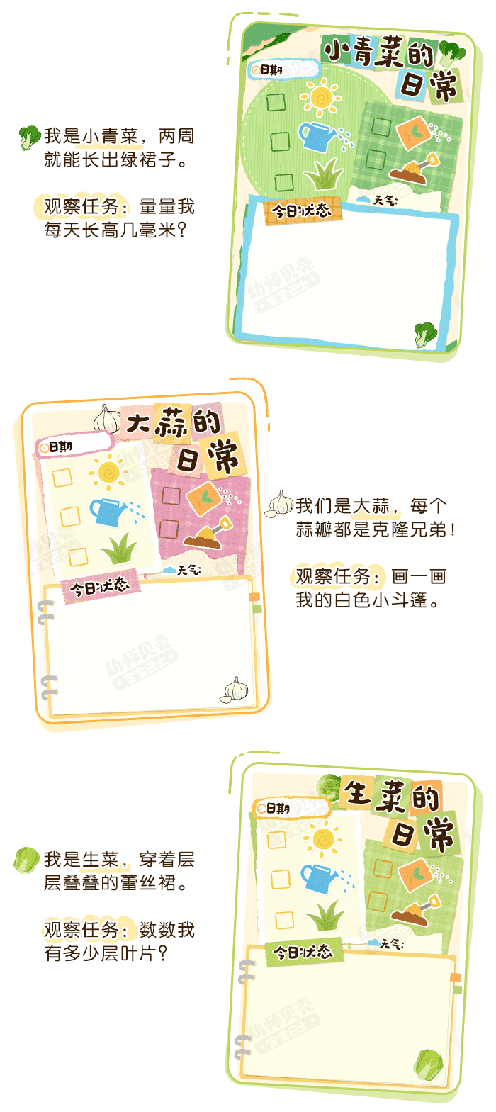 蔬菜的日常_详情页3.png