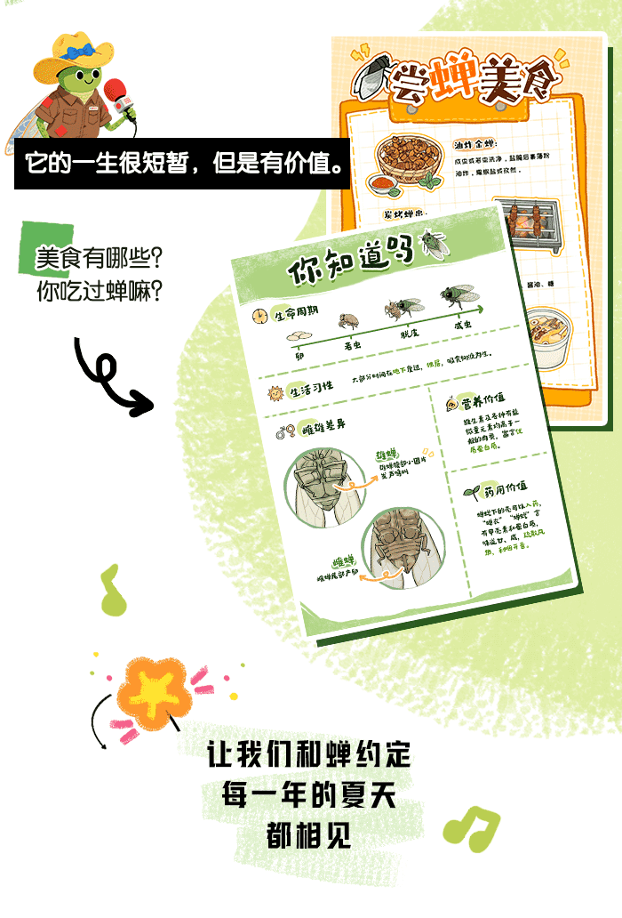 夏日遇见蝉_方案_详情页_05.png