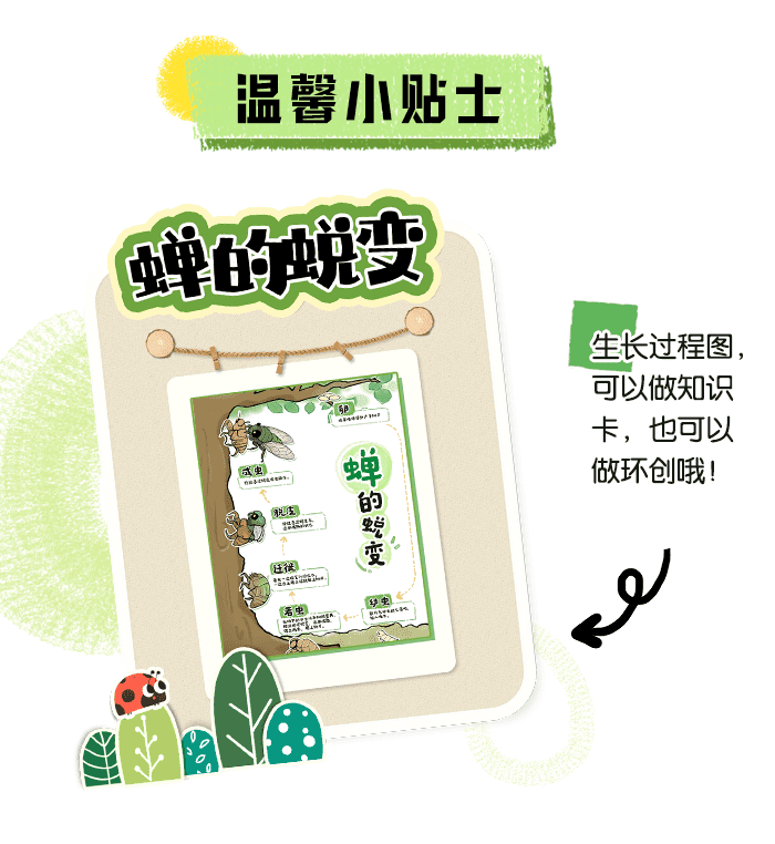 夏日遇见蝉_方案_详情页_06.png