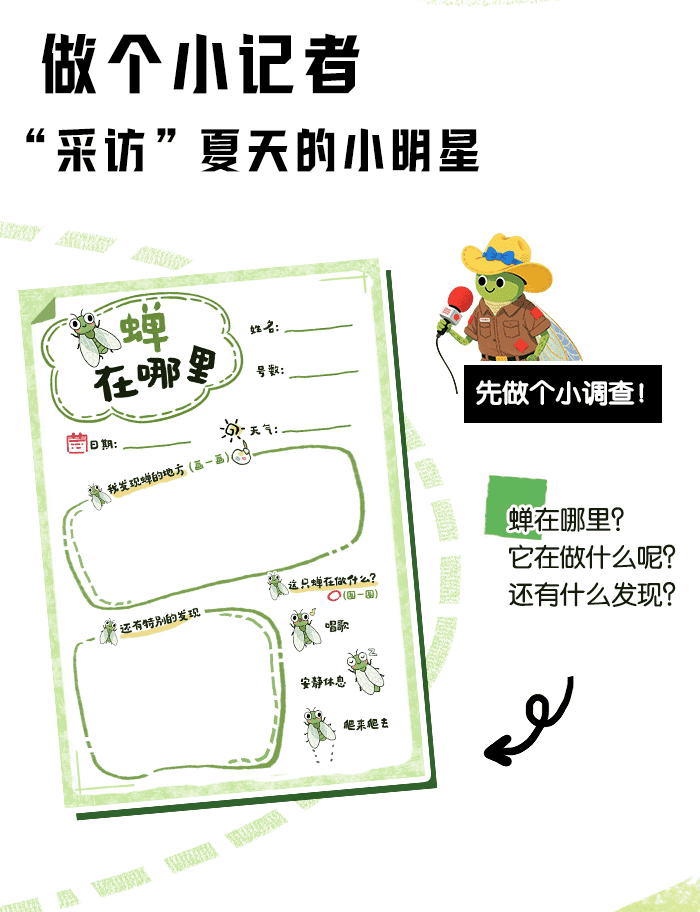 夏日遇见蝉_方案_详情页_02.png