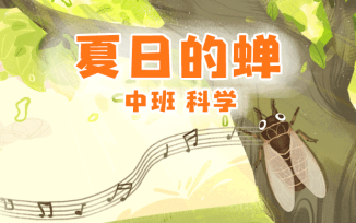 夏日的蝉