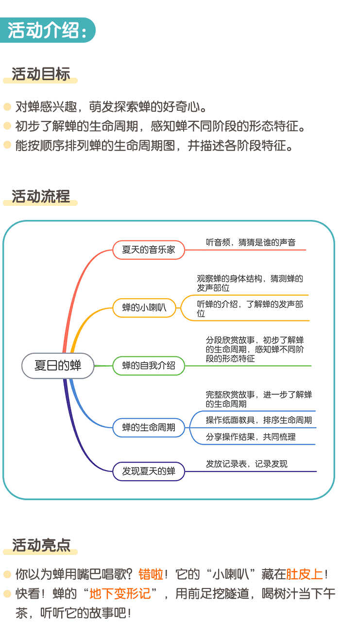 夏日的蝉_详情页1.png