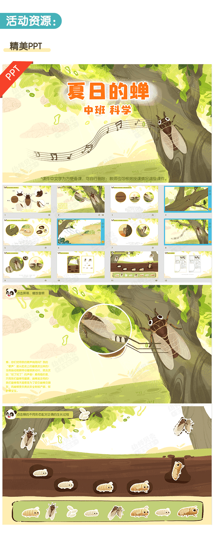 夏日的蝉_详情页2.png