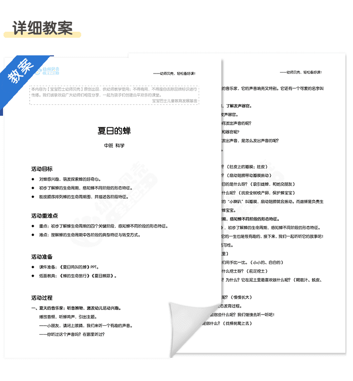 夏日的蝉_详情页4.png