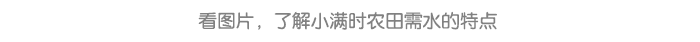 小满_详情页7.png