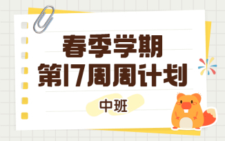 2025年春季学期第17周周计划
