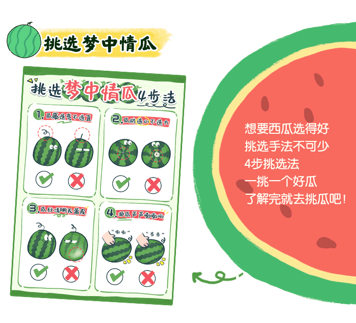 西瓜资源_详情页_03.png