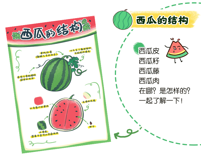 西瓜资源_详情页_02.png