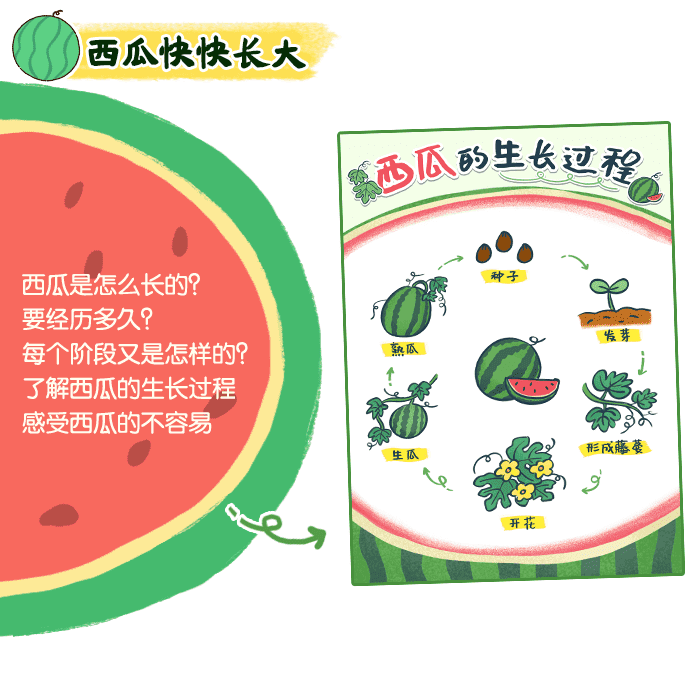 西瓜资源_详情页_05.png