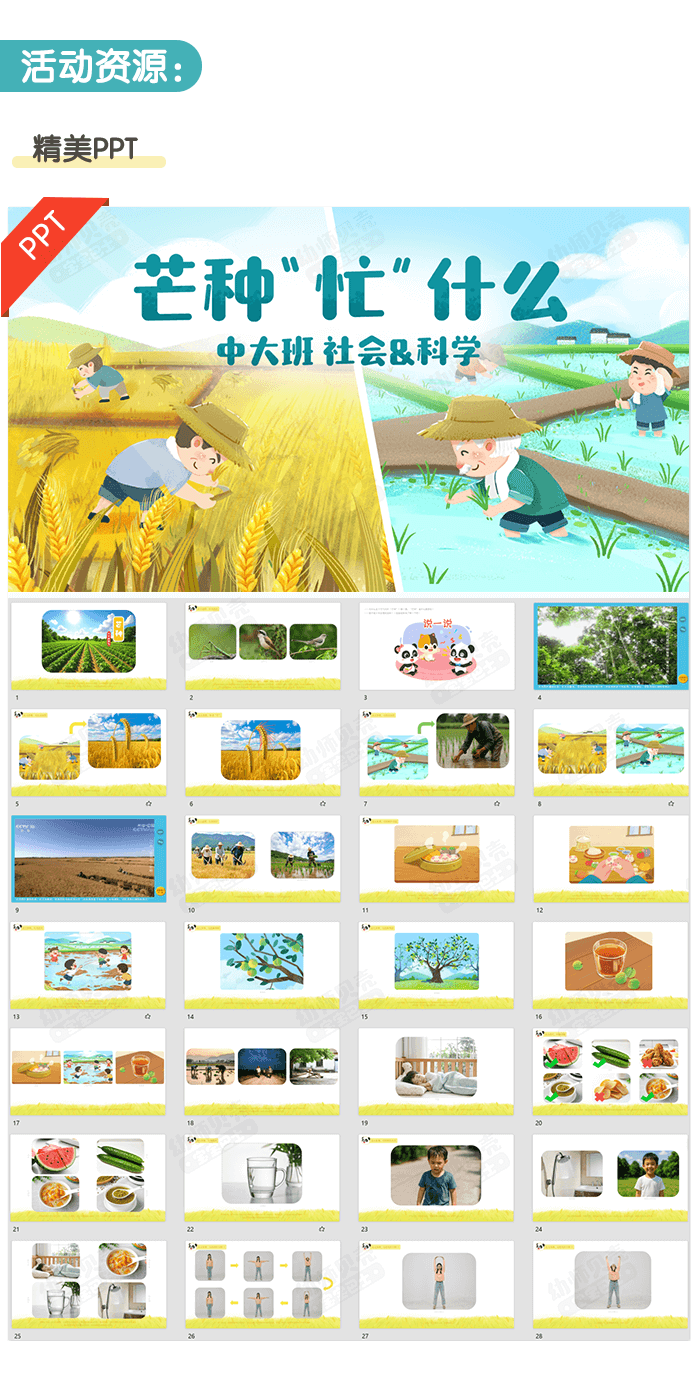 芒种_详情页2.png
