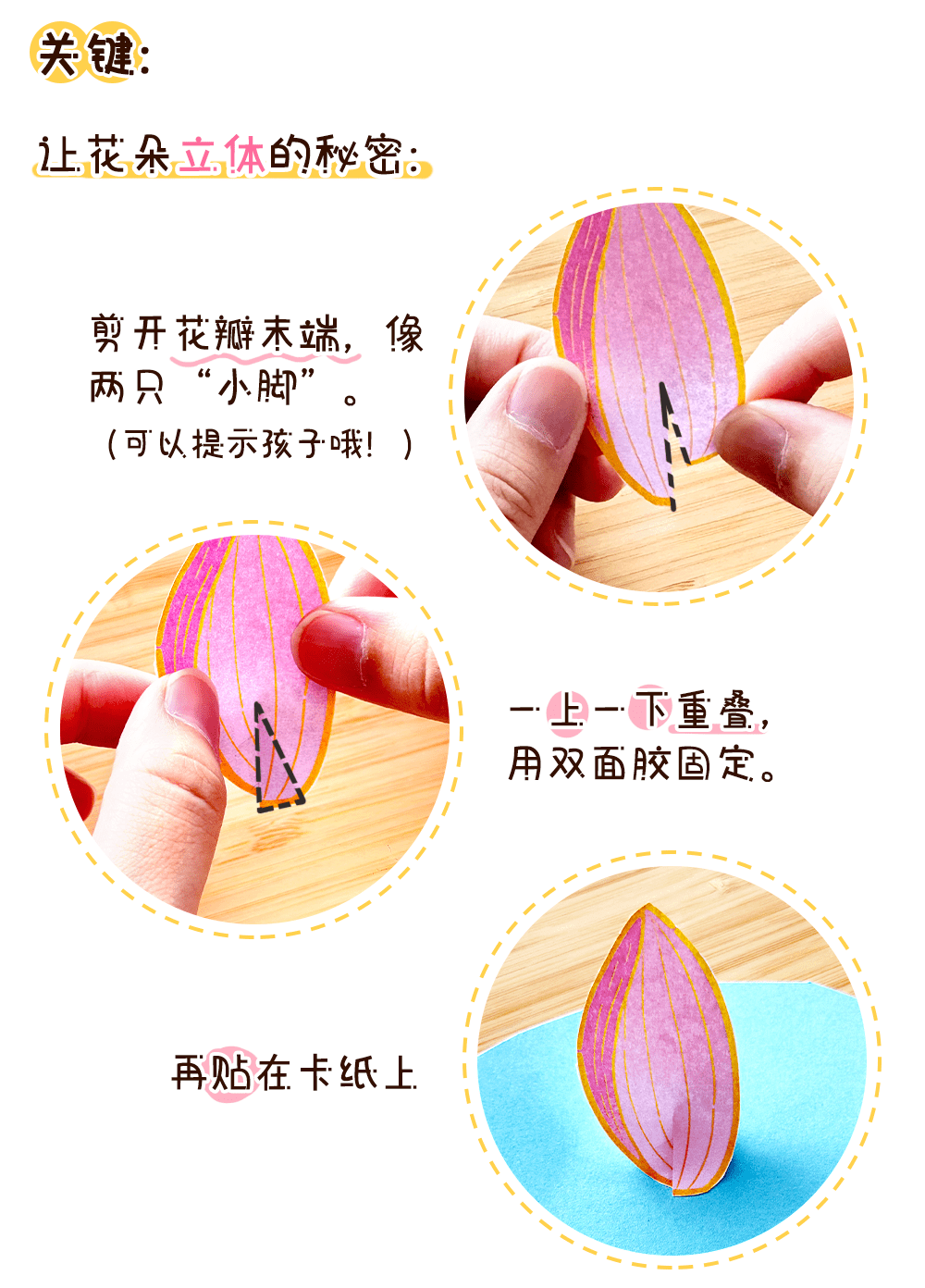 荷荷美美_详情页3.png