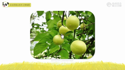 5.gif