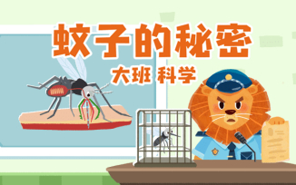 蚊子的秘密