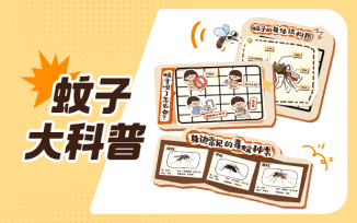 蚊子大科普