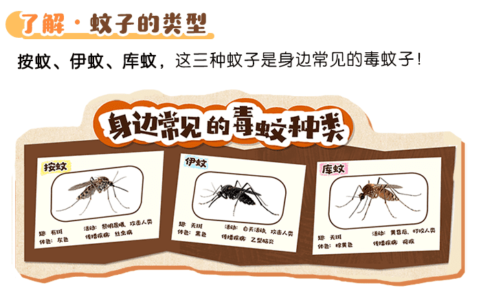 蚊子大科普_详情页_04.png