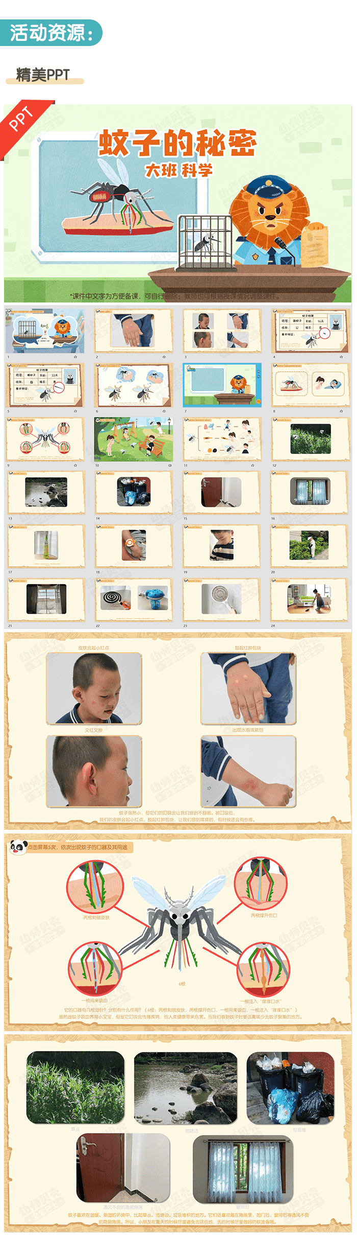 蚊子的秘密_详情页2.png
