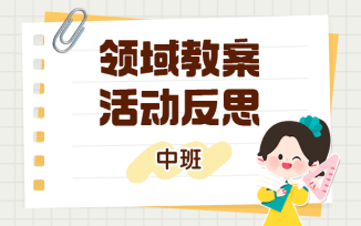 领域教案活动反思