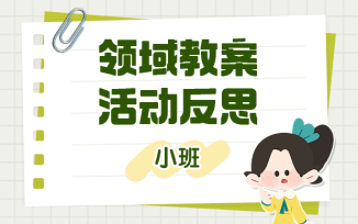 领域教案活动反思
