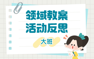 领域教案活动反思