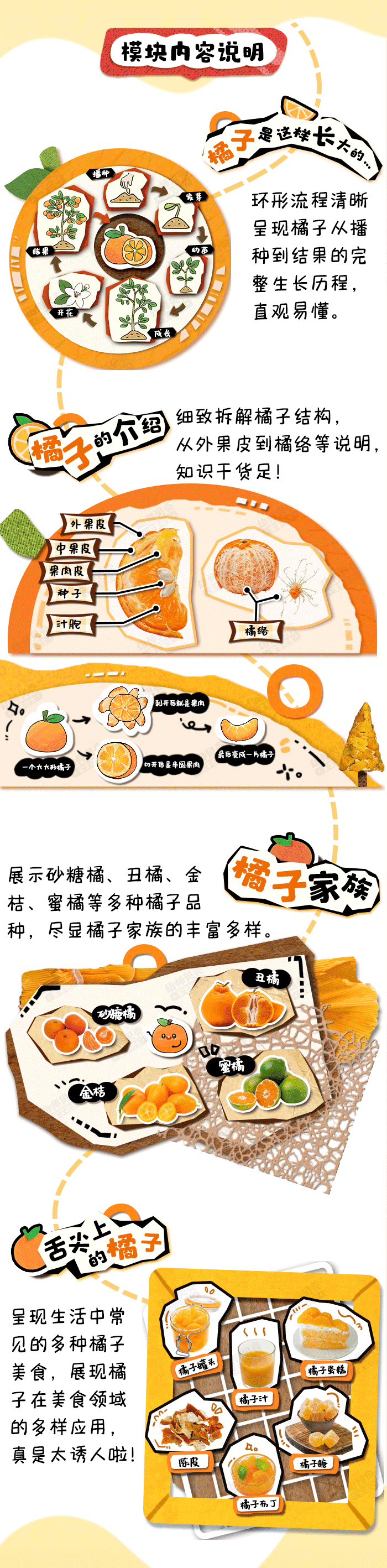 来橘会吧_详情页2.png