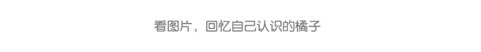 我会剥橘子_详情页_03.png
