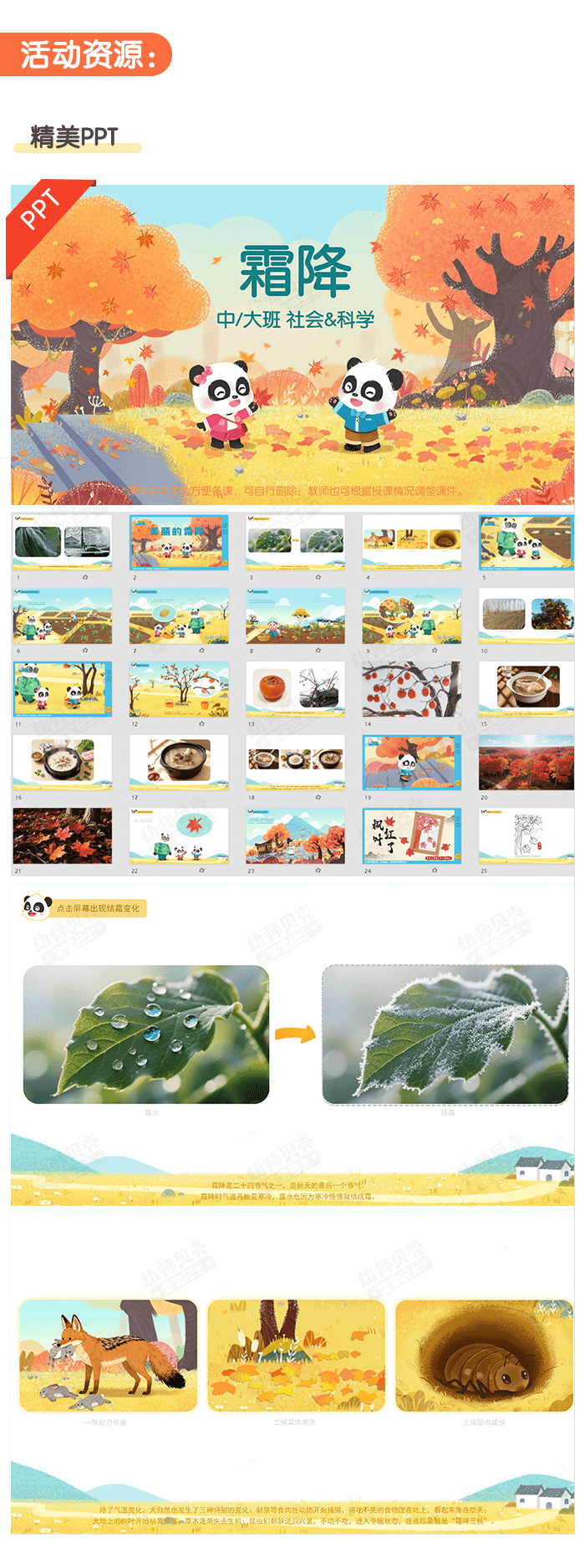 霜降_详情页2.png 霜降_详情页2.png