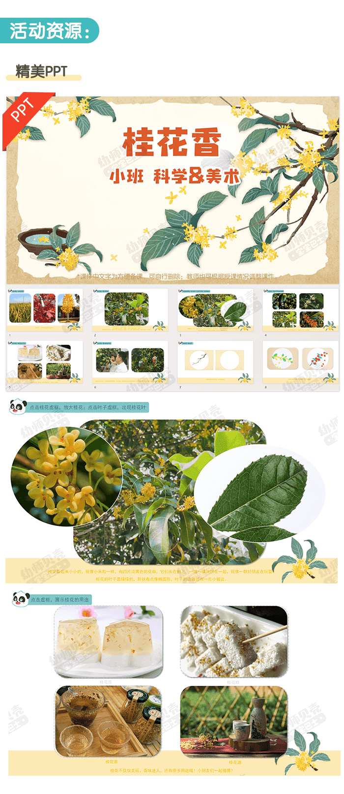 桂花香_详情页_02.png