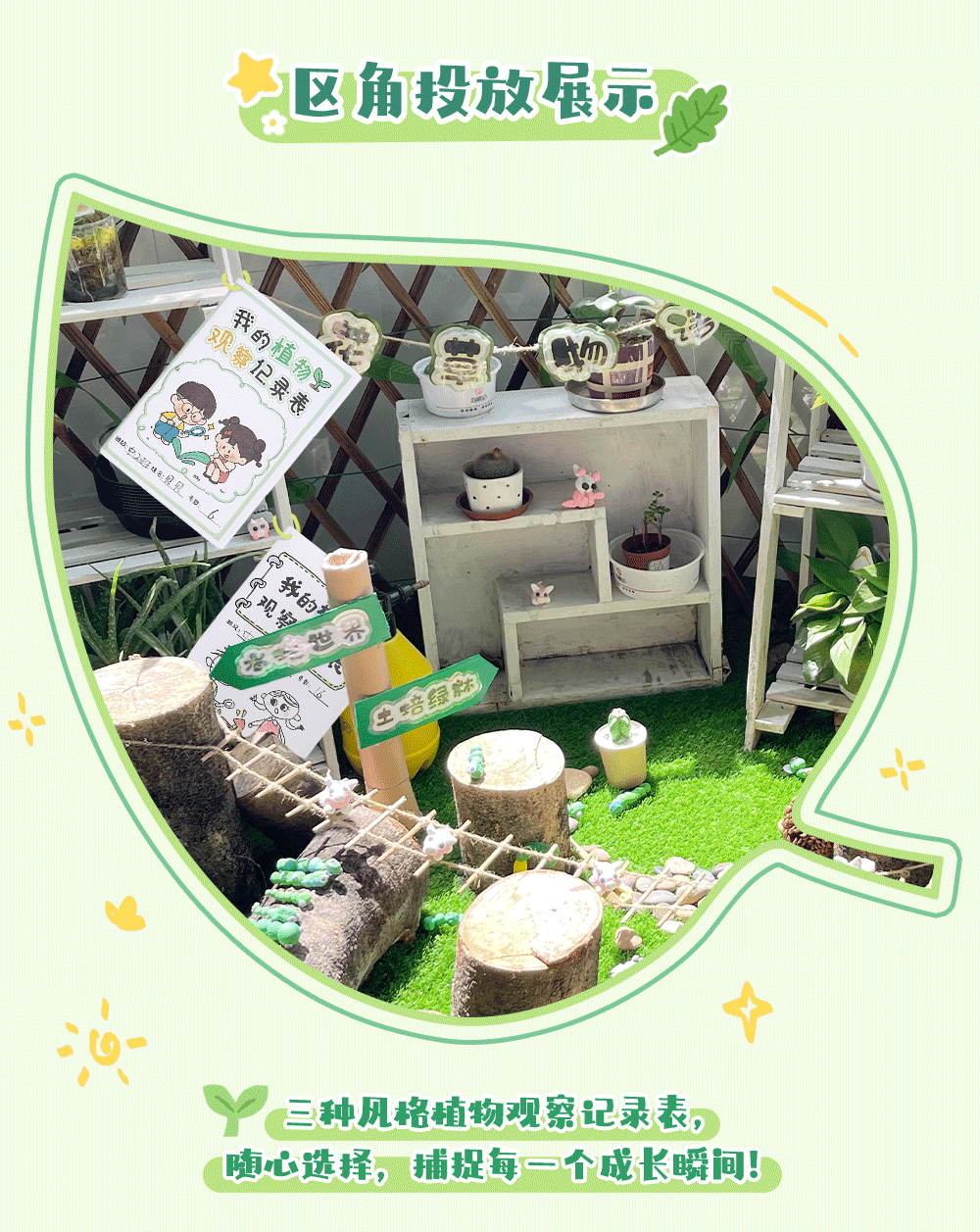 植物观察记录表_详情页_02.png