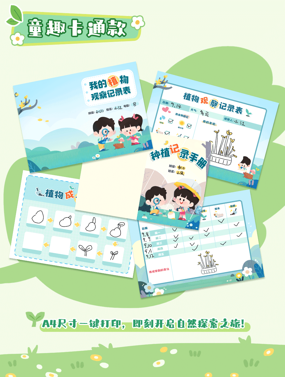 植物观察记录表_详情页_05.png