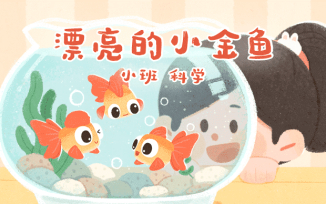 漂亮的小金鱼