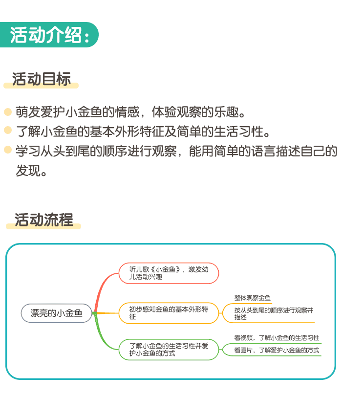漂亮的小金鱼_详情页_01.png