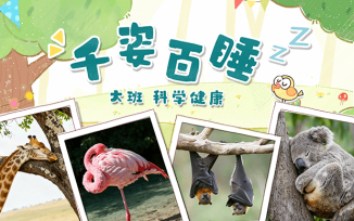 千姿百睡
