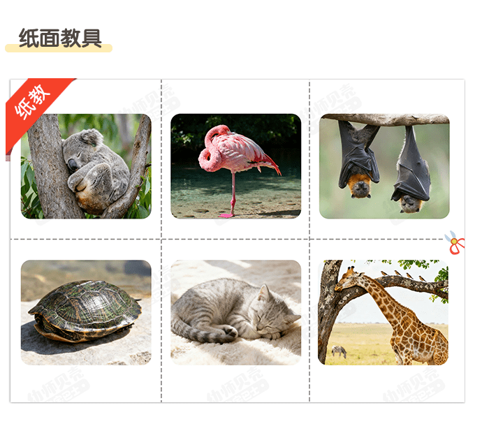 千姿百睡_详情页3.png
