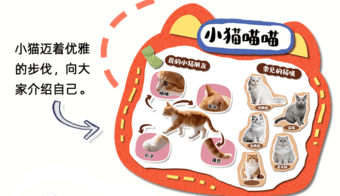 可爱的动物_详情页_05.png