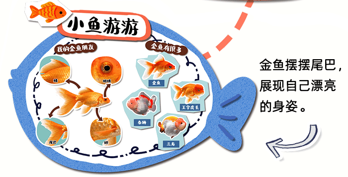 可爱的动物_详情页_06.png
