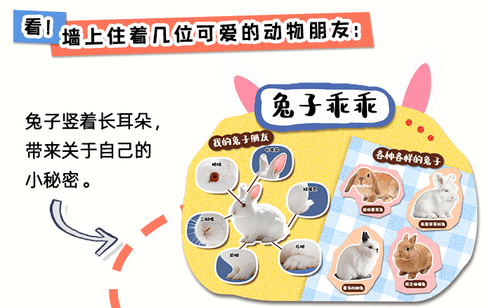 可爱的动物_详情页_03.png