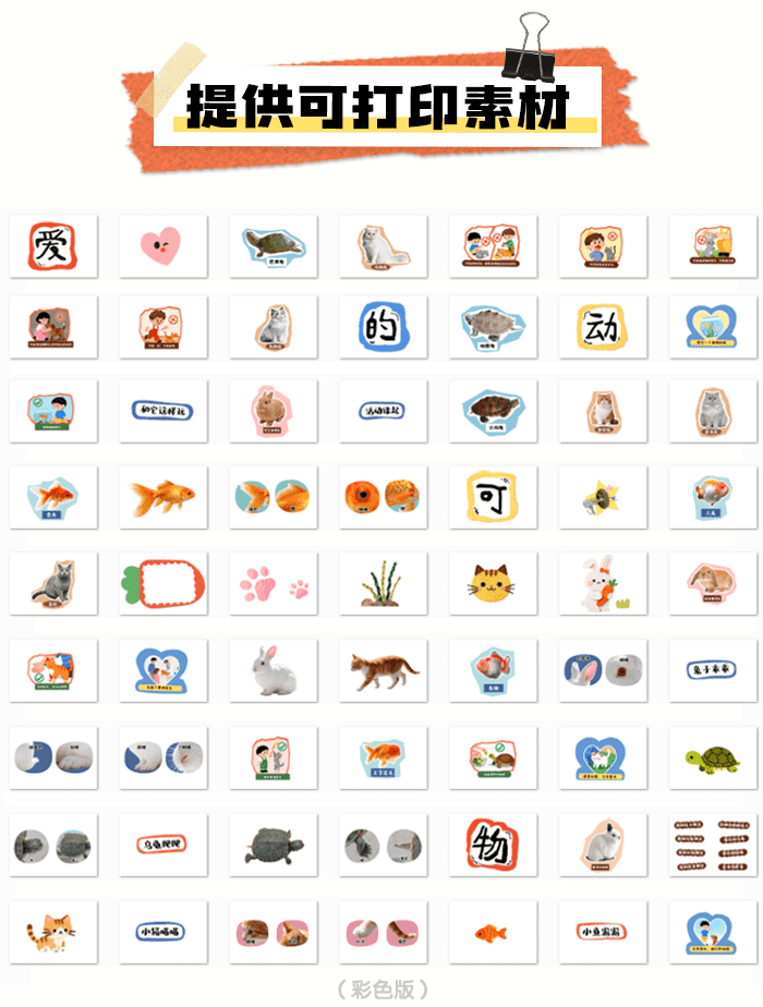 可爱的动物_详情页_09.png